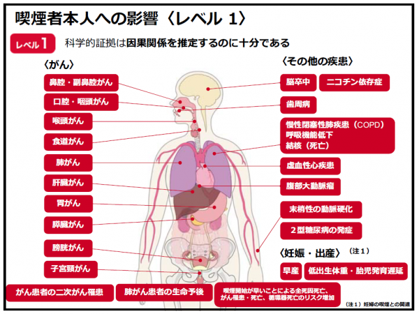 鉾田市役所など公共施設が敷地内禁煙となります（受動喫煙対策） 鉾田市公式ホームページ