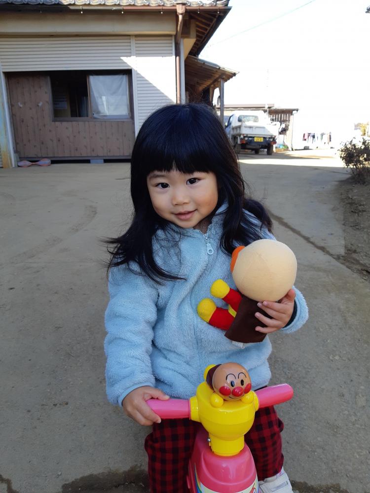 たかはし　まる ちゃんの写真