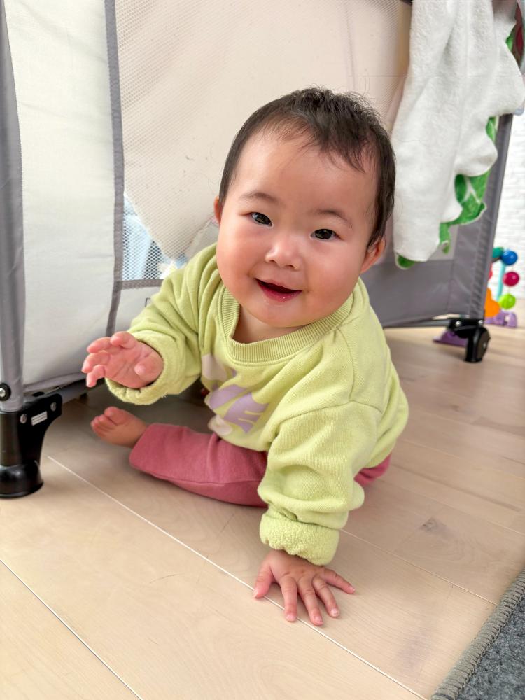いしざき　ことは ちゃんの写真