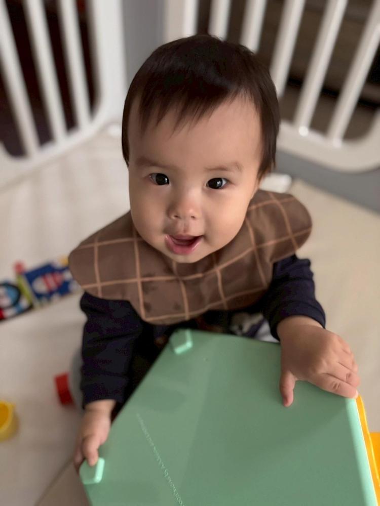 きくち みなと ちゃんの写真