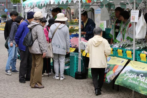 新宿御苑(4)