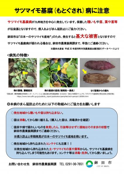 鉾田市サツマイモ基腐病チラシ