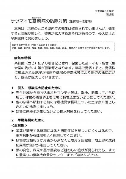 サツマイモ基腐病防除対策（生育期～収穫期）(1)