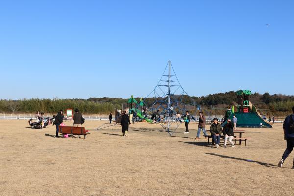 20240106みのわ水鳥公園(6)