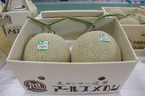 メロン(1)