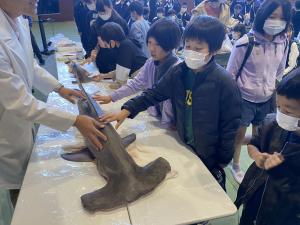 R5科学の祭典5