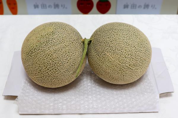 R7.6.13　双子メロン(2)
