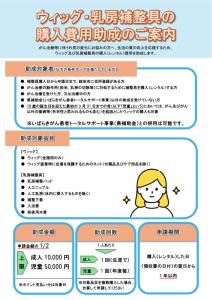 (1)ウィッグ令和8～