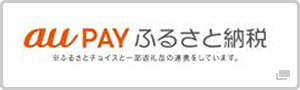 auPay ふるさと納税