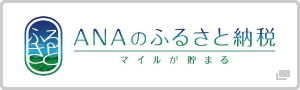 ANAのふるさと納税